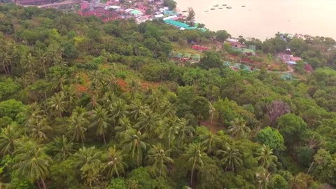 Phi Phi Don Island Stock Footage 83664874