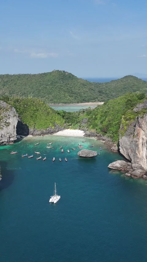 Phi Phi Island from Above – Vertical Drone Shot of Cliffs &amp; Sea 스톡 동영상 310628424