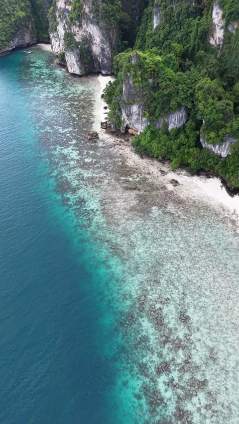 Phi Phi Island Stock Footage 345011751