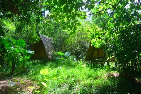 Phil_Coron Foto stock