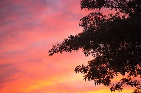 Philadelphia PA Sunset Stock Photos