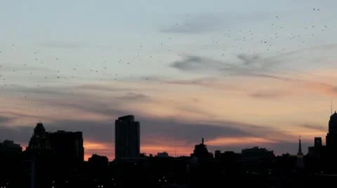 Philadelphia skyline Stock Footage 12322703