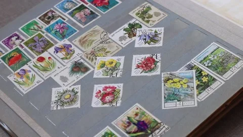 The philatelist is leafing through an album with postage stamps. Видео 150236476