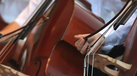 Philharmonic orchestra, hands playing to cellos, classical music Stock Footage 54560054