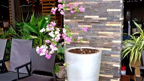 A Philippine commercial establishment typifying the trend toward open-air Stock Footage 171193413