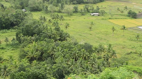 Philippine countryside Stock Footage 43619315