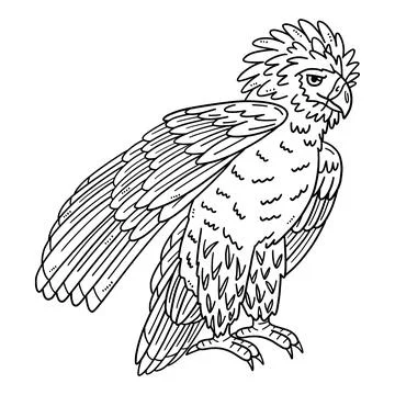 Philippine Eagle Isolated Coloring Page for Kids Stock Illustration