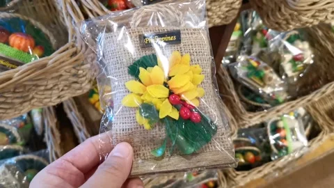 Philippine Ref Magnet in a Gift Shop Stock Footage 229406140