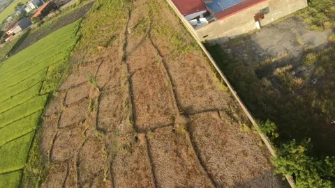 PHILIPPINES 0006 Video stock 172231659