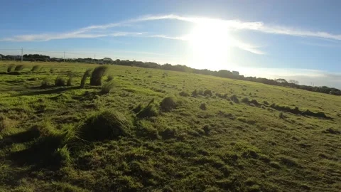 PHILIPPINES 0014 Video stock 172231386