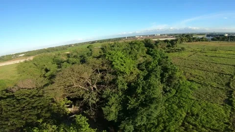 PHILIPPINES 0016 Video stock 172231403