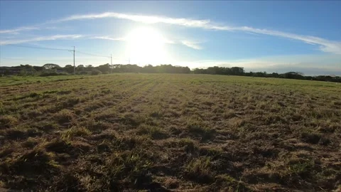 PHILIPPINES 0017 Video stock 172231344