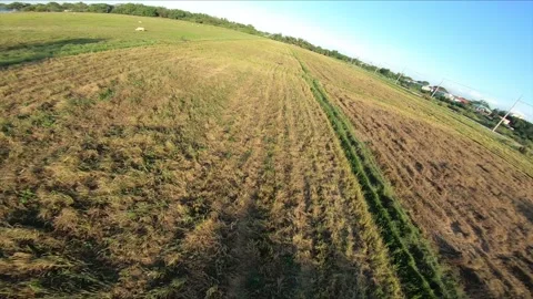 PHILIPPINES 0019 Video stock 172231483