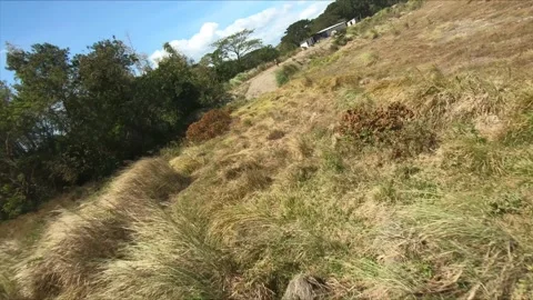 PHILIPPINES 0020 Video stock 172231484