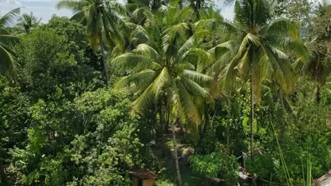 Philippines. Beautiful view of nature. Stock Footage 254466828