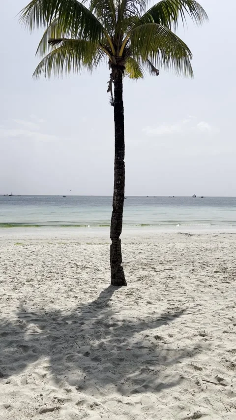 Philippines - Boracay | White Beach (4K, HDR) Stock Footage 238882608
