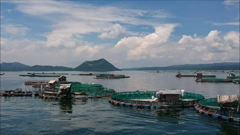 Philippines fish farm Stock Footage 97950712