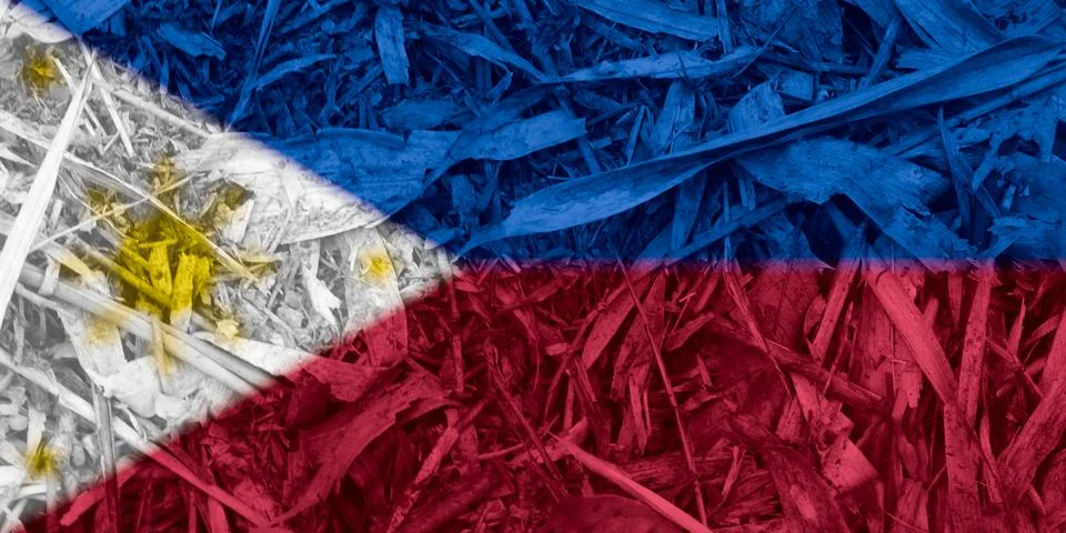 Philippines flag texture as background Stock Photos