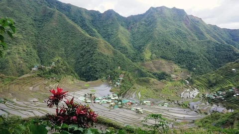 Philippines, Luzon, Batad Village Stock Footage 104207456