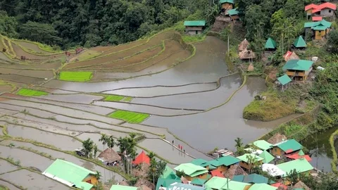Philippines, Luzon, Batad Village Видео 104207500