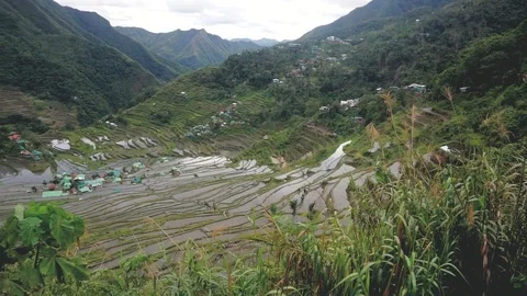 Philippines, Luzon, Batad Village Видео 104207546