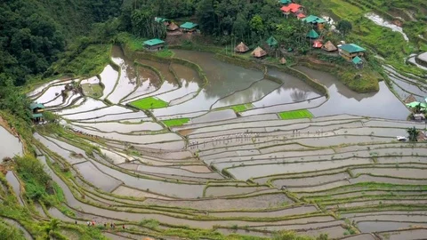 Philippines, Luzon, Batad Village Stock Footage 104207596