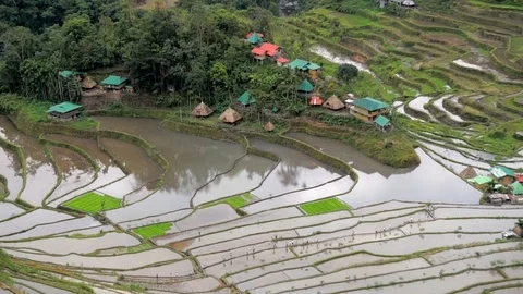 Philippines, Luzon, Batad Village Stock Footage 104207641