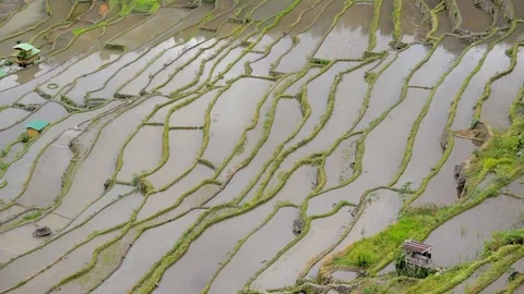Philippines, Luzon, Batad Village Stock Footage 104207665