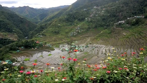 Philippines, Luzon, Batad Village Stock Footage 104207680