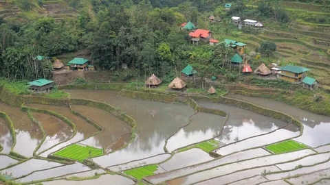 Philippines, Luzon, Batad Village Stock Footage 104207712