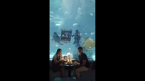 Philippines: Man proposes during aquarium visit in Cebu, Philippines Stock Footage 341568681