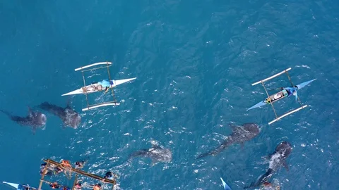 Philippines Part 12 Stock Footage