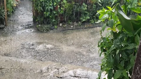 Philippines. Rain with sound Stock Footage 254541699