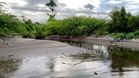Philippines The river flows into the sea along the banks plastic pollution Stock Footage 238578906