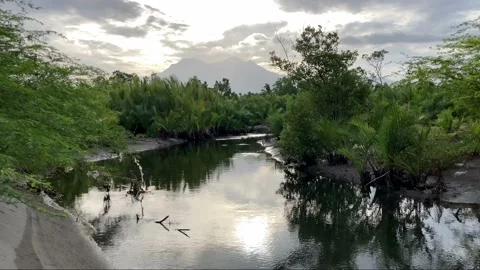 Philippines The river flows into the sea along the banks plastic pollution Stock Footage 238579140
