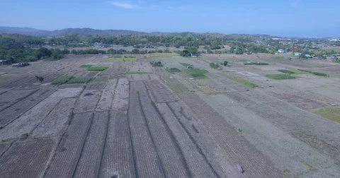 Philippines  third world country field by drone 4k Stock Footage 79597908