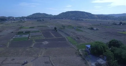 Philippines third world country field and small house by drone Stock Footage 79604697
