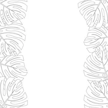 Philodendron Monstera Leaf Border Outline Stock Illustration