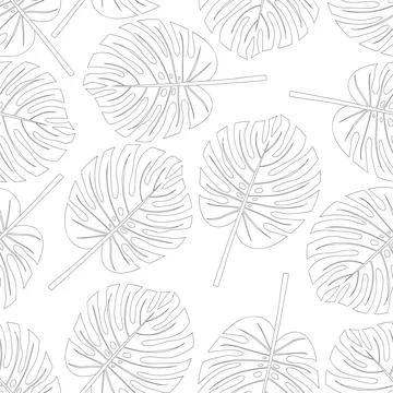 Philodendron Monstera Leaf Seamless on White Background Stock Illustration