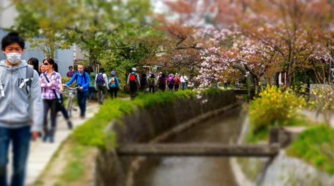 Philosopher 25fps 4k Stock Footage 37698862