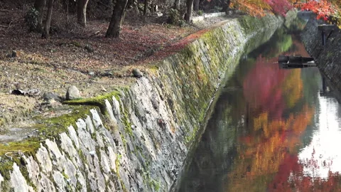 Philosopher's Path in Autumn Stock Footage 332795211