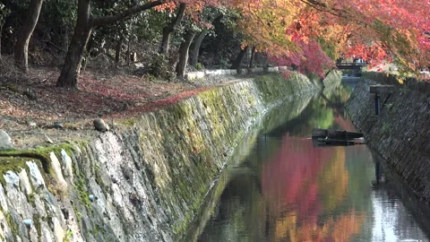 Philosopher's Path in Autumn Stock Footage 332795270