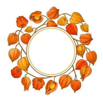 Phisalis branch vector frame Stock Illustration