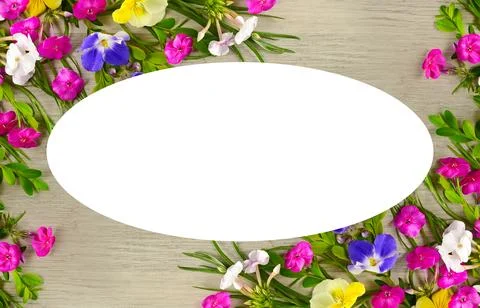 Phlox and violet pattern. Beautiful frame with free space for text. Stock Photos