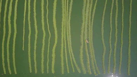 Phnom_Penh_Drone_footge Video stock 127944706