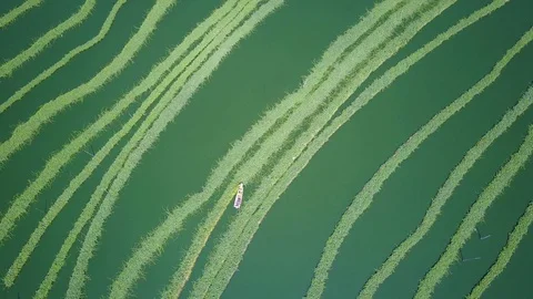 Phnom_Penh_Drone_footge Video stock 127945017