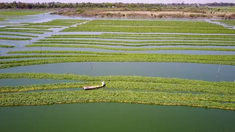 Phnom_Penh_Drone_footge Video stock 127945065