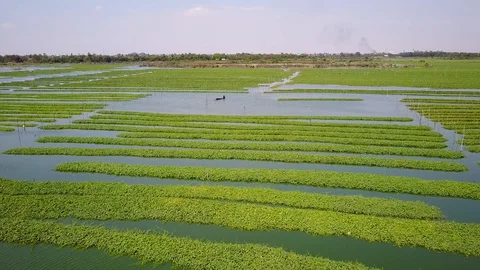 Phnom_Penh_Drone_footge Video stock 127945280