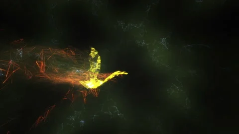 Phoenix - Abstract Bird Reveal Stock Footage 146579707