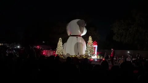 Phoenix APS Electric Light Parade Holiday Lights Video stock 326841162